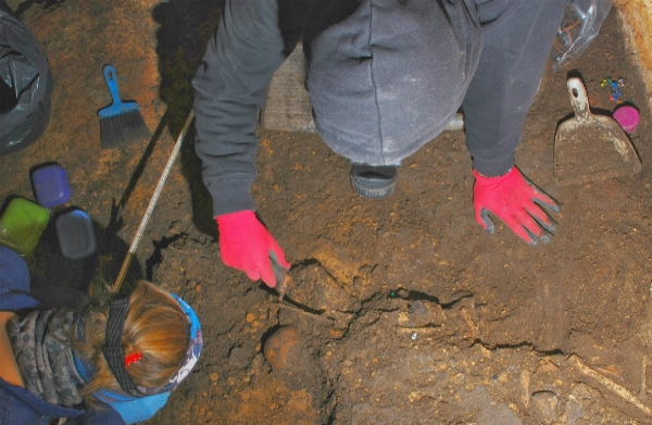 Equipo del Proyecto Mauranus excavando los restos de un craneo.