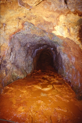 Galeria de la mina romana de Morero (Liaño, Villaescusa). Foto: Lino Mantecón Callejo