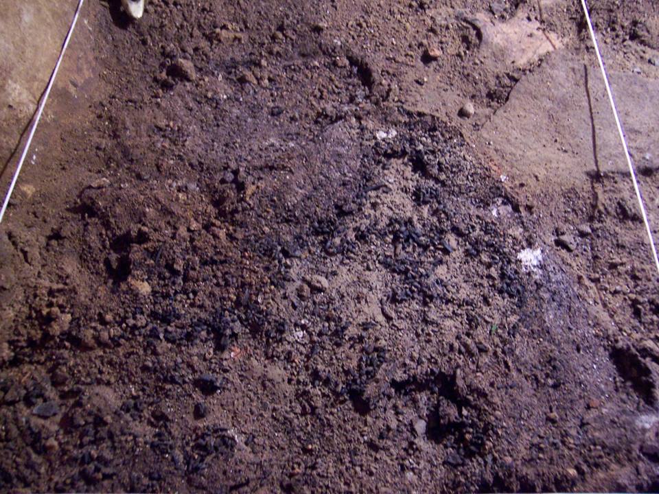Semillas de cereal quemado en el suelo de Las Penas. Fotografía: Alis Serna Gancedo - Mª Ángeles Valle