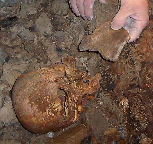 Cráneo que da nombre a la sima junto con un gran fragmento cerámico. Fuente: The Matienzo Caves Project