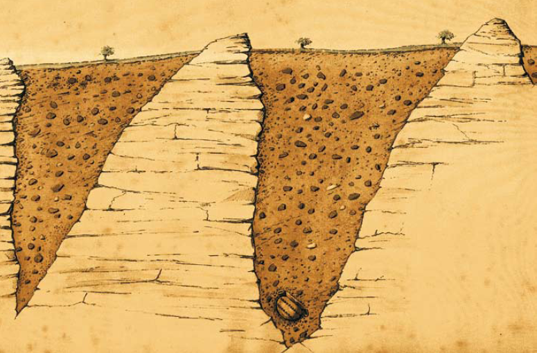 Dibujo explicativo de la posición y ubicación del caldero. Museo de Prehistoria y Arqueología de Cantabria
