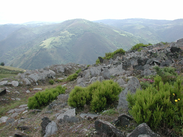 Campo de piedras hincadas en el recinto de San Isidro. Fotografía: Ángel Villa - Castros de Asturias