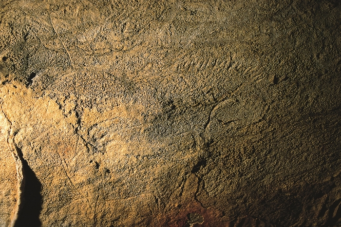 Cuadrúpedo (¿caballo?) de la cueva de Urdiales. Fotografía: GAEM