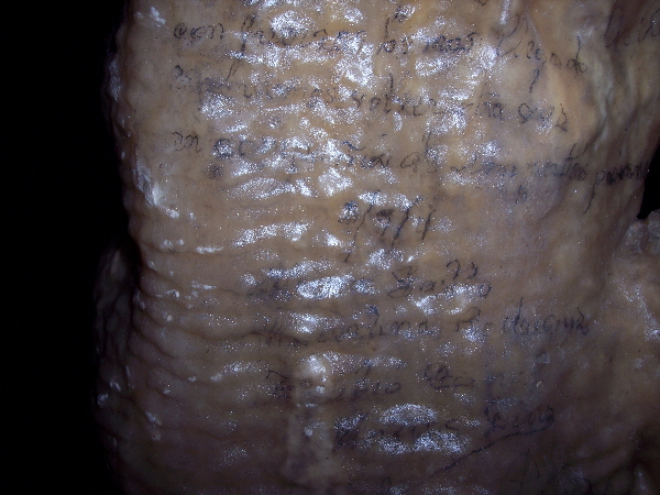 Detalle de una de las estalagmitas. Fotografía: Javier Martínez Presmanes