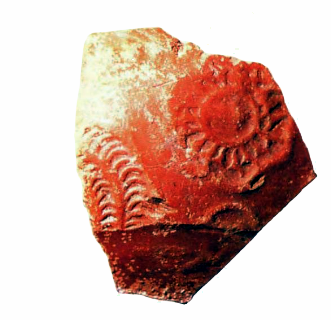 Fragmento de terra sigillata romana encontrada por el equipo de GAEM en el interior. Fuente: Libro "Las Cuevas del Valle de Villaescusa"