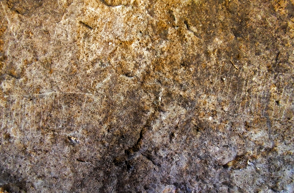 Grabados de la cueva de La Palenciana II
