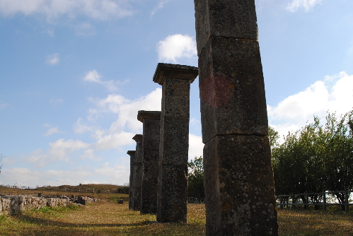 Las columnas, símbolo inequívoco de Juliobriga