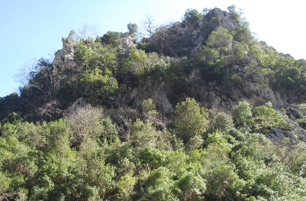 Ubicación de la cueva Auria, en el entorno del coto de pesca conocido como El Infierno
