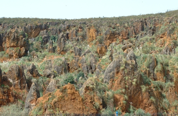 Vistas de la mineralización del área de Cabarceno. Foto: Lino Mantecón Callejo