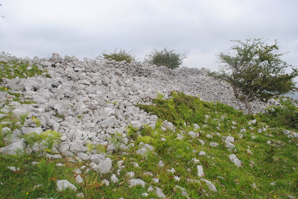 Derrumbe de muralla en el acceso al castro de Pico del Oro