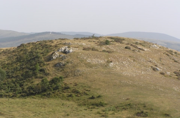 Vista de la posible estructura campamental de Salces (Campoo de Suso). Fotografia: Jose Ángel Hierro Gárate
