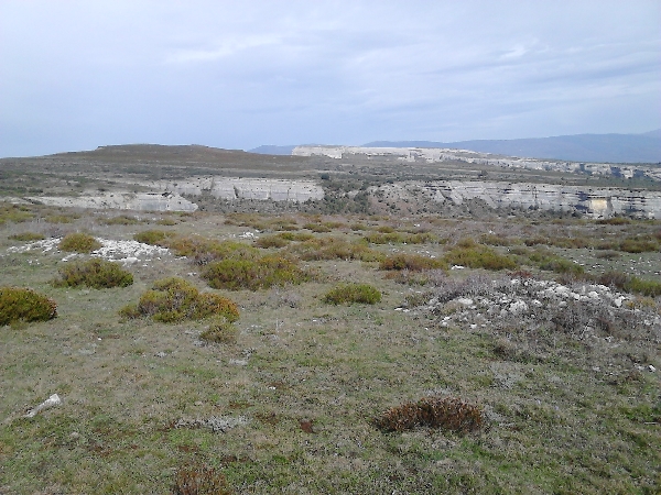 Necrópolis de Dulla, al fondo el campamento de La Muela. Fotografía: Ángel Neila Majada