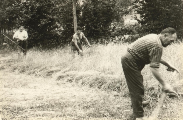 La Tiona - Gonzalo Gómez Casares