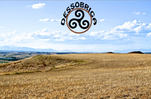 Yacimiento de Dessobriga. Fotograf&iacute;a: Margarita Torrione