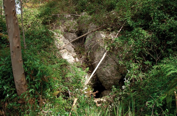Boca de la cueva del Portillo del Arenal. Fuente: Proyecto Mauranus
