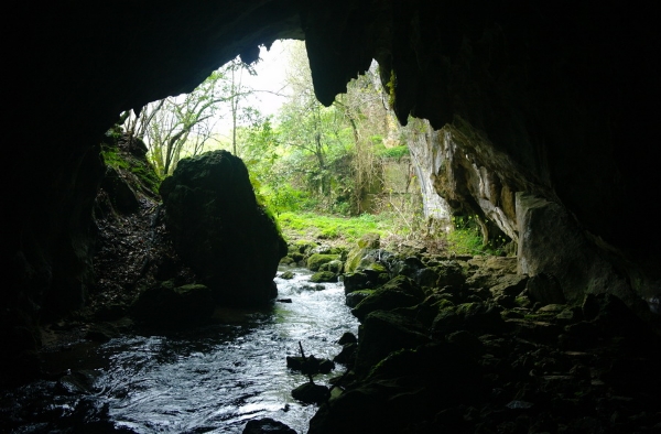 Acceso a la cueva del Molino. Fuente: The Matienzo Caves Project