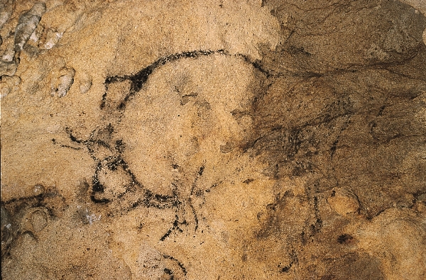 Bisonte en negro (carbón) de la cueva de Urdiales. Fotografía: GAEM Arqueólogos