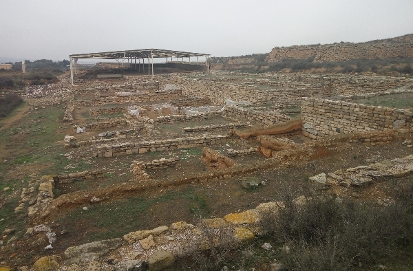 Yacimiento de Lepida Celsa, Velilla de Ebro (Zaragoza)