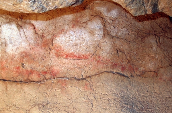 Cierva de la cueva de Cualventi. Fotografía: GAEM Arqueólogos.