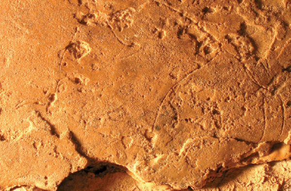 Bisonte grabado de la cueva de El Linar. Fuente: Proyecto de Investigación Los tiempos de Altamira. Actuaciones arqueológicas en las cuevas de Cualventi, El Linar y Las Aguas