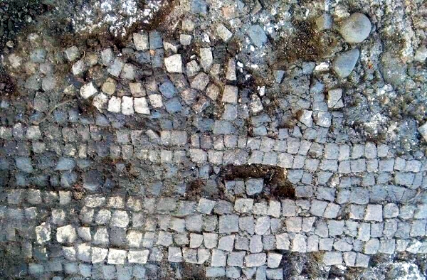 Detalle del nuevo mosaico encontrado en Huerta Varona