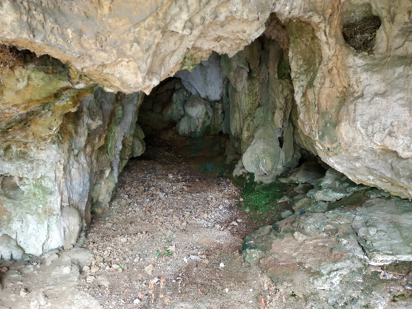 Interior de la cueva de El Mazo desde la boca