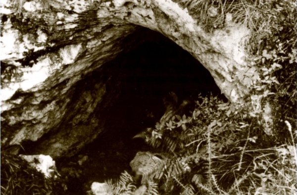 Una de las pocas fotografías de la cueva de La Pila. Fuente: ACDPS