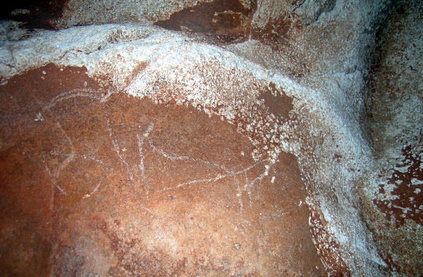 Caballo grabado de la cueva de Los Moros (Medio Cudeyo, Cantabria). Fotografía: GAEM Arqueólogos