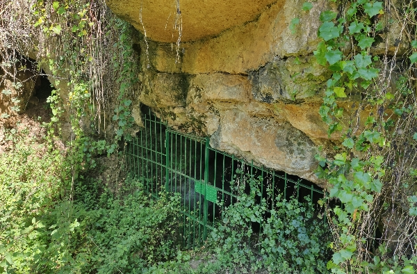 Boca de la cueva de La Castañera