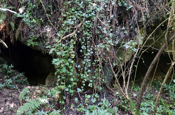 Boca de la cueva de Los Hornos, practicamente cegada por la vegetación