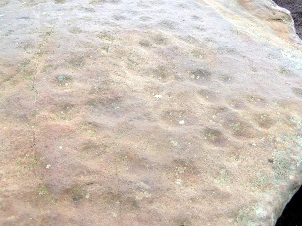 Detalle de las cazoletas grabadas en la laja de arenisca del túmulo conocido como "Combranda III"