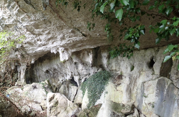 Boca de la cueva de Las Lapas. Fotografía: Peter Smith