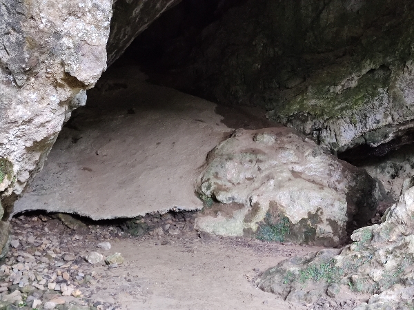 Vestíbulo de la cueva del Valle. se puede apreciar el arrastre del yacimiento por debajo del hormigón