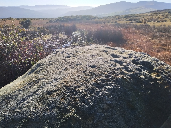 Piedra arenisca con pequeñas cazoletas en el entorno de los túmulos de Quinana