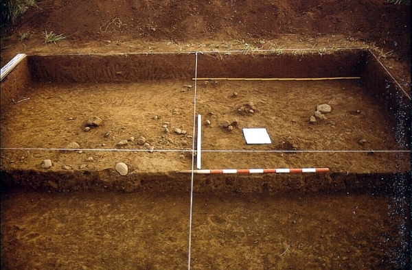 Corte de la excavación del yacimiento de La Verde. Fotografía: GAEM Arqueólogos