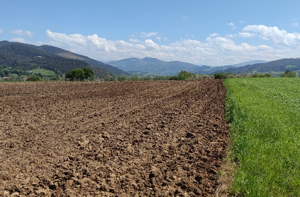 Campo arado en el yacimiento de El Sarzón, en las Terrazas de Zurita