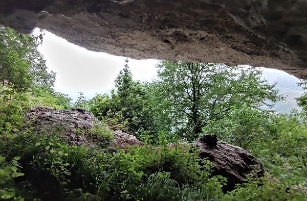 Boca de la cueva de La Puntida