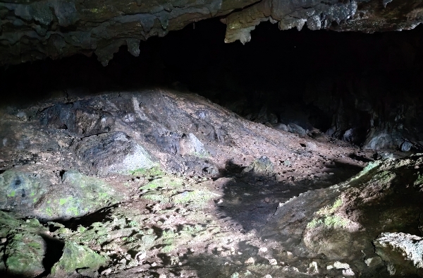 Sala principal de la cueva de La Puntida