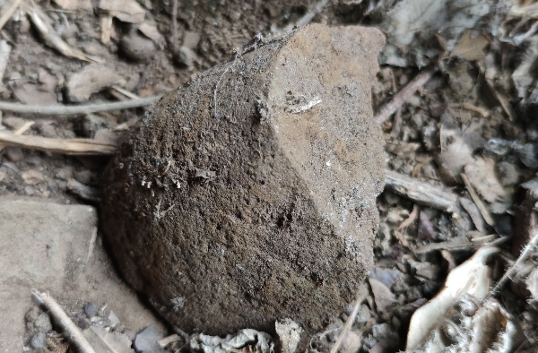 Industría lítica en el interior de Cerro Tú