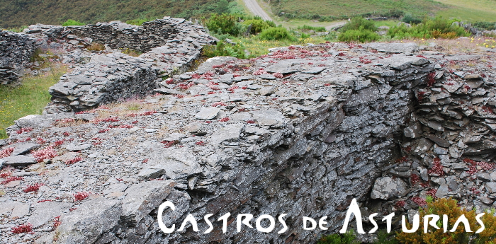 Castros de Asturias - Asociación de Amigos del Parque Histórico del Navia